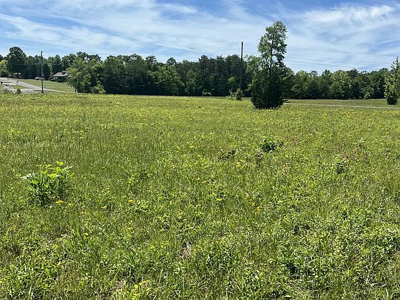 2nd image of 0 County Road 545