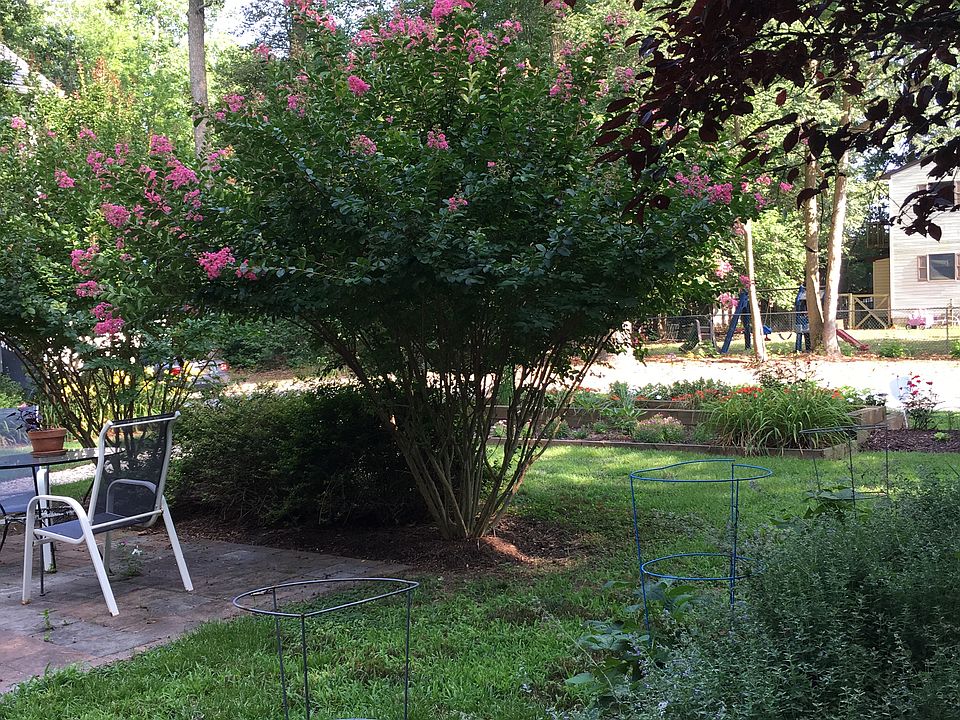 SW frontyard corner 
