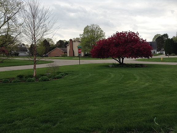 3rd image of 505 Cottonwood Ct