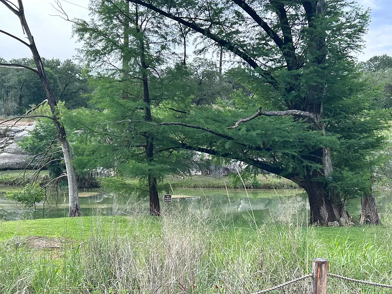 217 Leveritts Loop #A — Photo 20