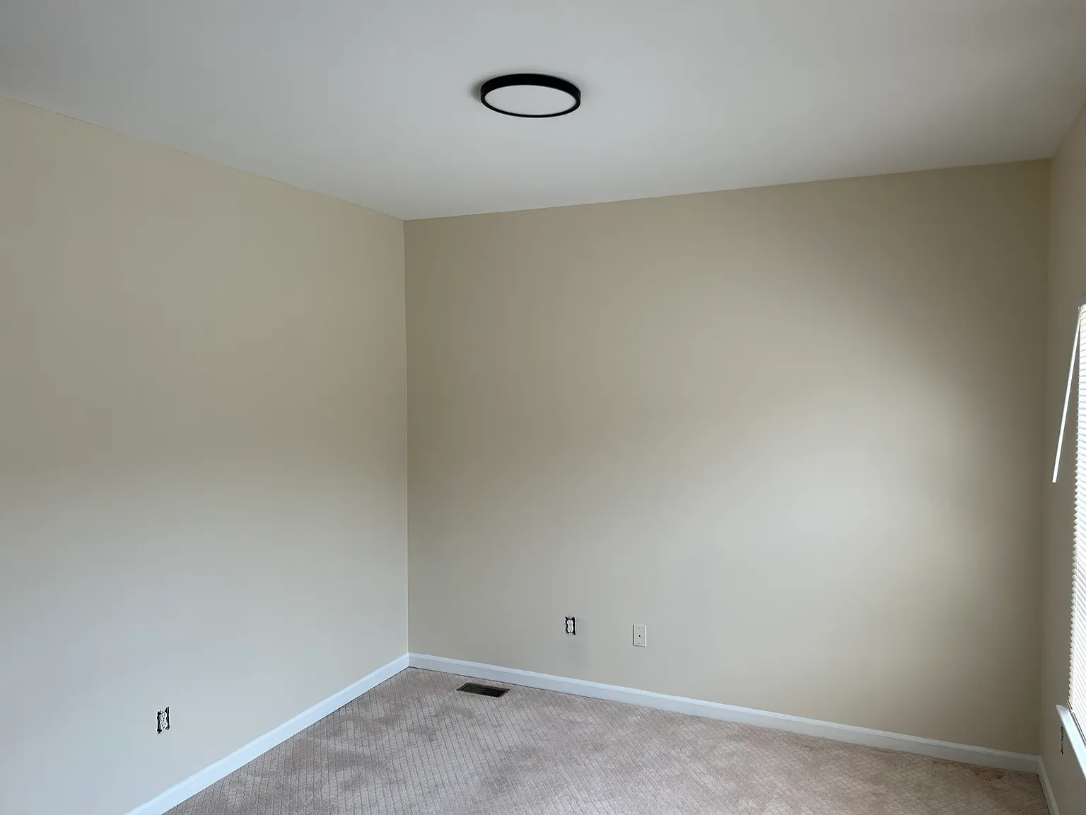 1 bed, 1200 sqft, $1,650 — Photo 4