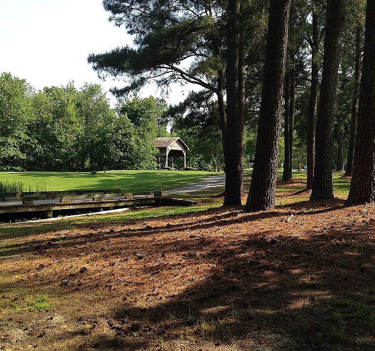 View from Lot - Golf Tee