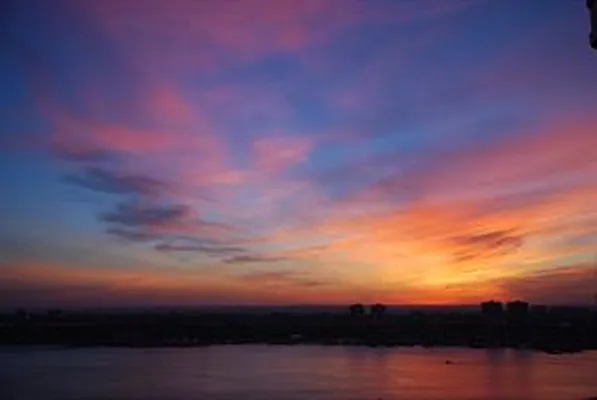 Rented by Douglas Elliman | media 2