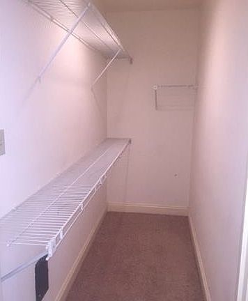 5th image of 910 S Carrollton Ave APT F