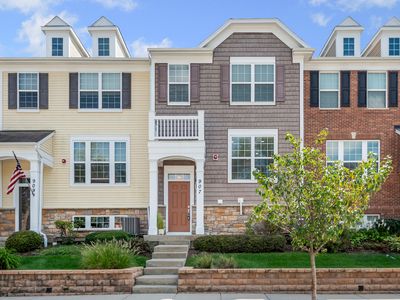 907 E Hamlin Ln, Arlington Heights, IL, 60004