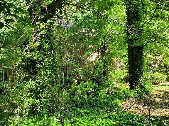 4th image of 4635 Riversound Dr