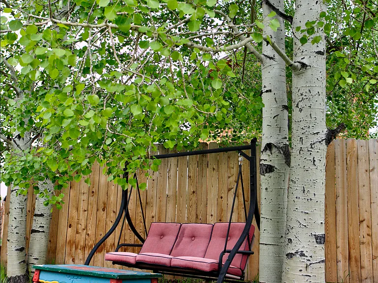 405 Nevava St #2 — Photo 5