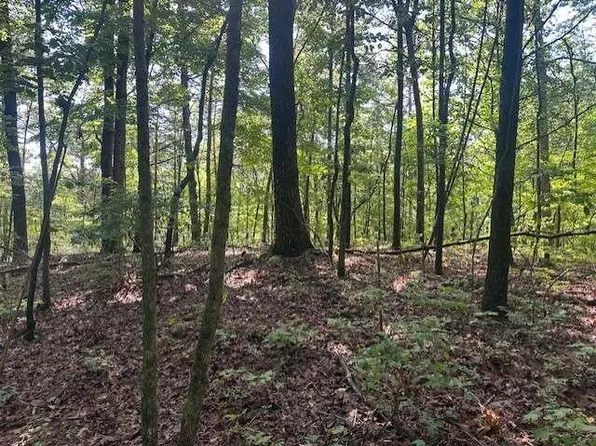 Wendy Hill Rd #Tr3, Talking Rock, GA 30175