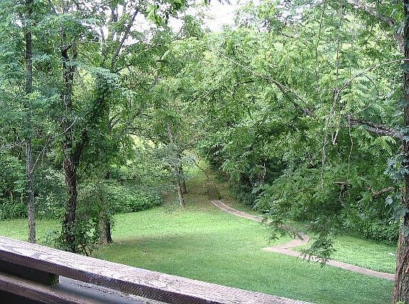 A quiet path winds its way through the wooded backyard.