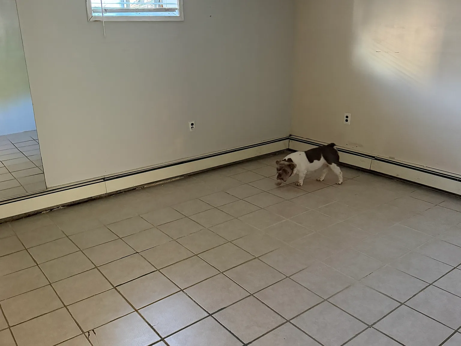 1 bed, 600 sqft, $2,000 — Photo 3