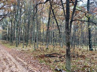 00 N Peacock Trail, Baldwin, MI 49304