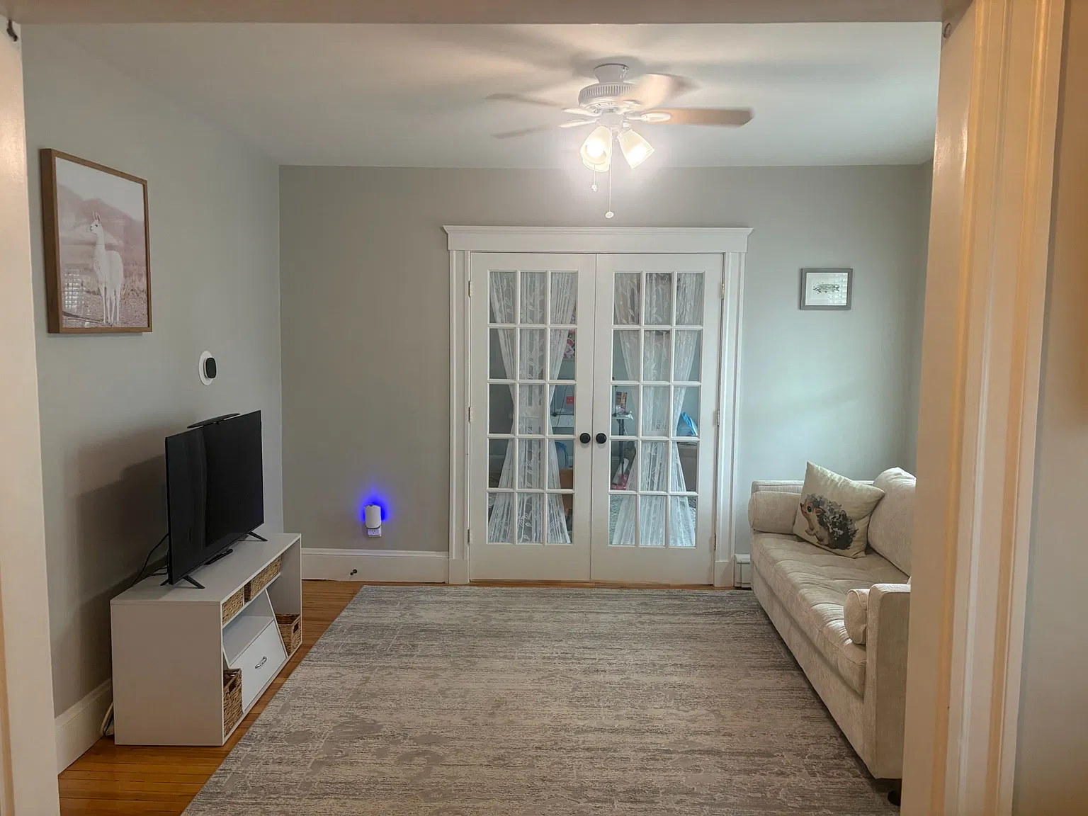 2 bed, 790 sqft, $3,000 — Photo 3
