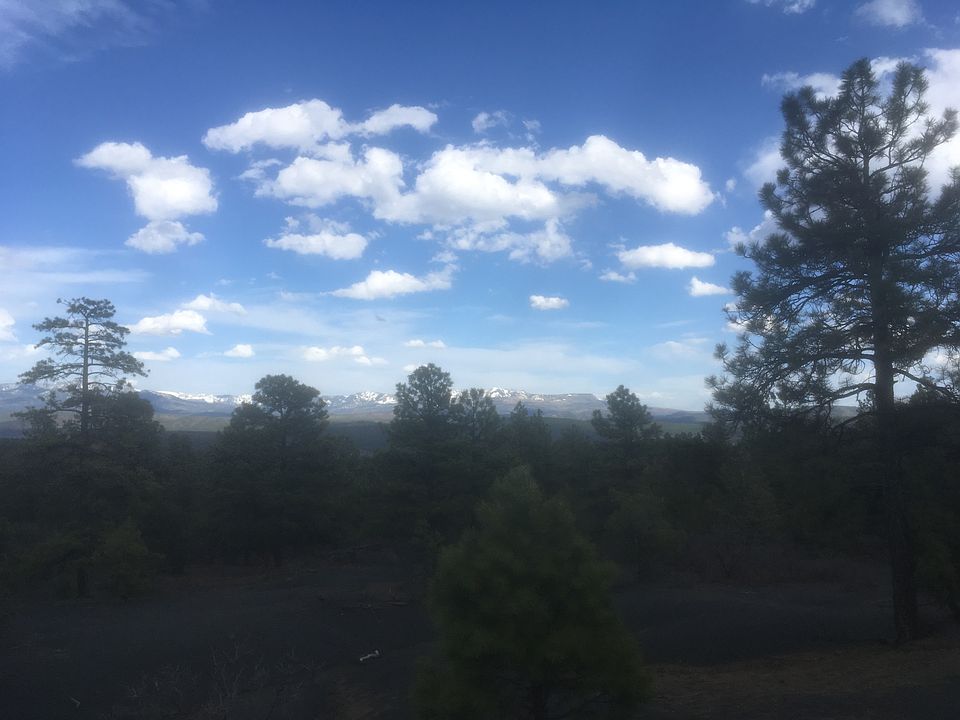 2nd image of 105 Cool Pines Dr