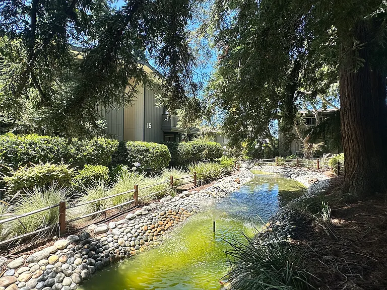 Buckingham Dr — Photo 2