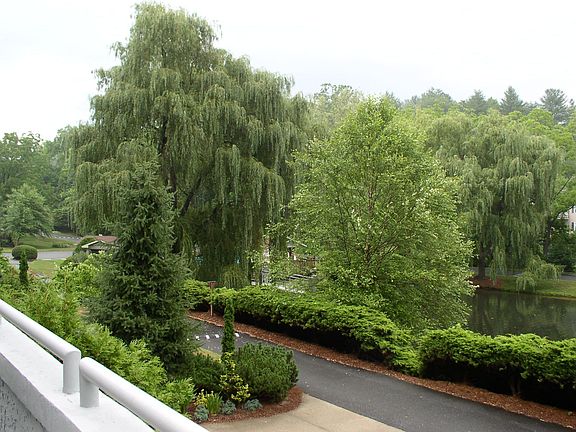 view from main balcony