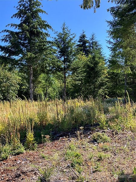 3rd image of 1 E Lone Fir Drive Drive E #Div 2