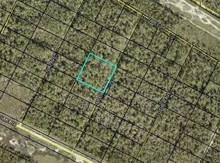 Xx Moore Ave LOT 643, Hastings, FL 32145