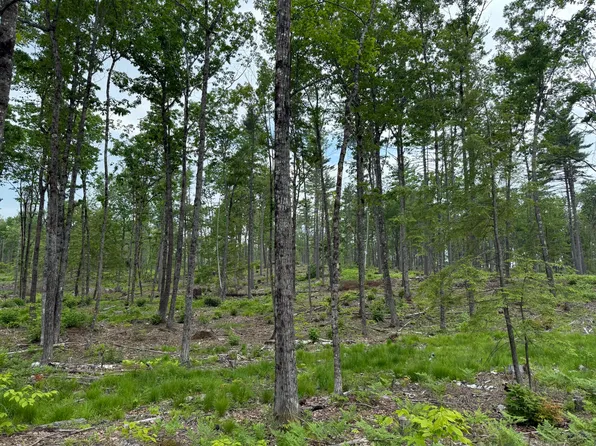 Lot 3 Isaac Stevens Road, Bridgton, ME 04009