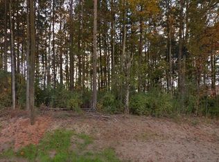 7445 O'Hara St, Huntersville, NC 28078