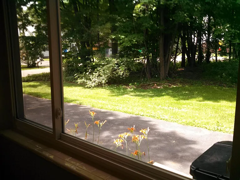 Private side yard