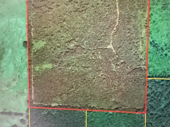 Bluff Springs Rd, Mineral Springs, AR 71851