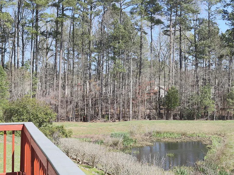 1316 Pebble Creek Xing — Photo 43