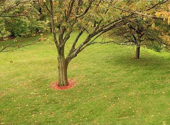 5th image of 14 Fellview Dr