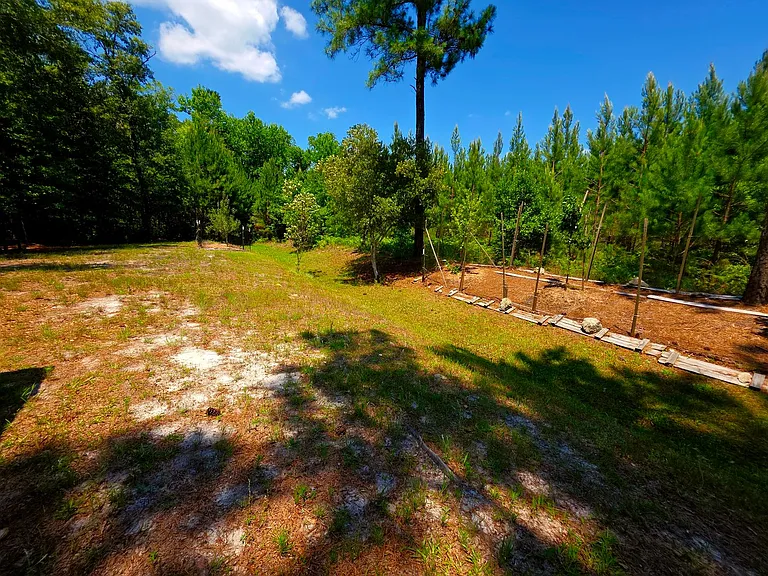 200 Sweet Gum Ln — Photo 10