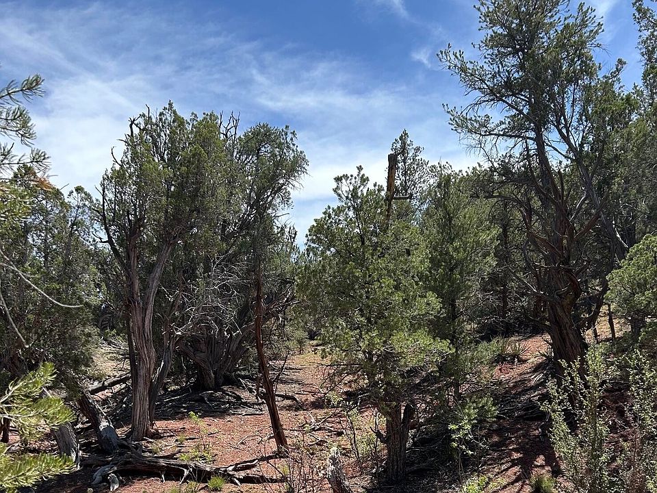 1st image of 179 Arizona Rd