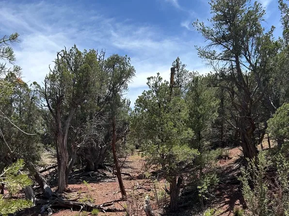 179 Arizona Rd, Ash Fork, AZ 86320
