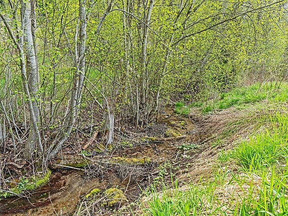 3rd image of 2551 Flowery Trail Rd