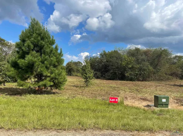 3 County Road 2204d & Dm #1797, Tatum, TX 75691