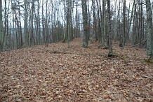 2nd image of Smoke Hollow Rd