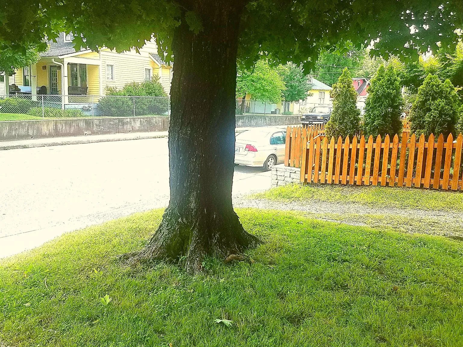3 bed, $1,995 — Photo 4