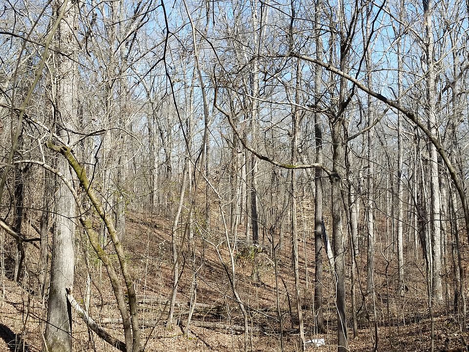 2nd image of Bark Dr