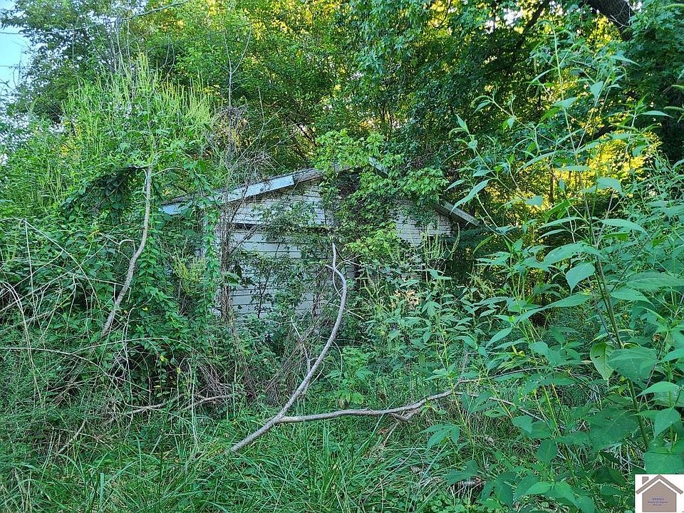 138 W Drake St, Drakesboro, KY 42337 Zillow