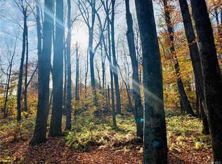 Old Liberty Rd, Monticello, NY 12701