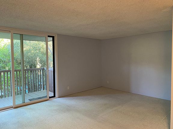 5th image of 3313 Shelter Creek Ln