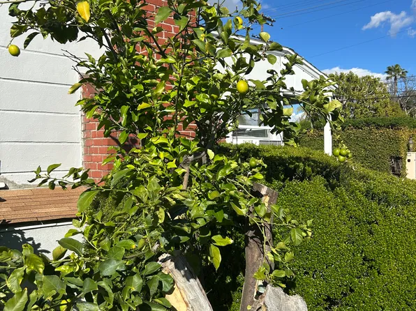 5003 Fulton Ave, Sherman Oaks, CA 91423