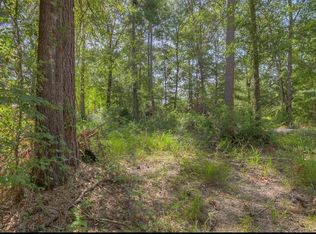 191 Cayman St, Pointblank, TX 77364