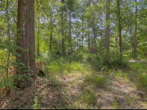 191 Cayman St, Pointblank, TX 77364