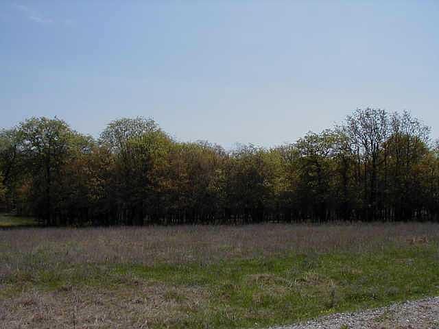 2nd image of 6001 Chloe Ln Lot 4