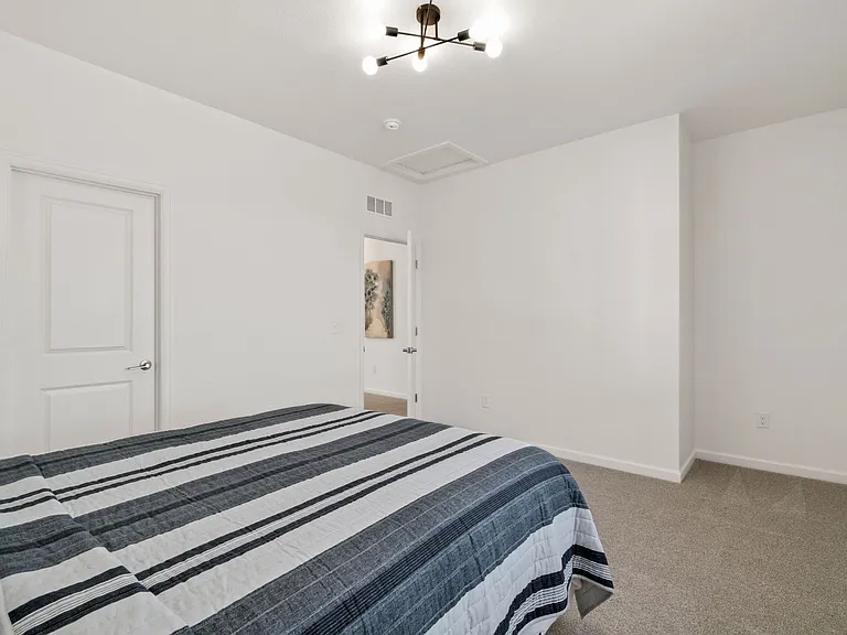 Modern Light Fixture, Spacious Bedroom W/ Walk in Closet