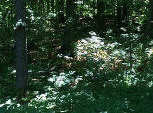 Herrington Rd, Morrice, MI 48857