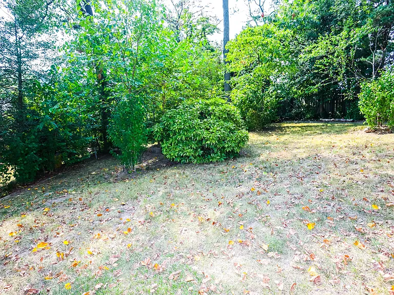 3424 Metzerott Rd — Photo 21