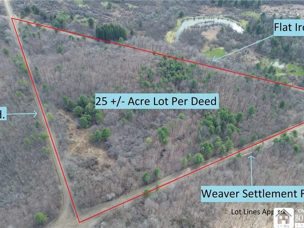 Flat Iron Rd Lot 23, Hunt, NY 14846