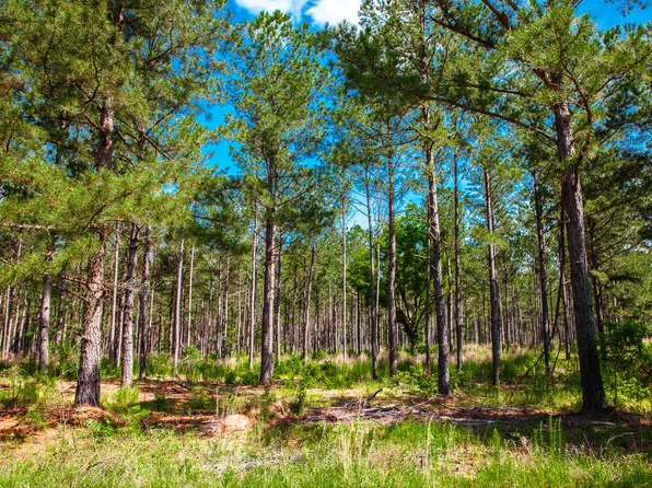 7165 BILL DORN Road, Appling, GA 30802