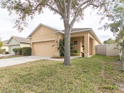 1009 Windton Oak Dr, Ruskin, FL, 33570