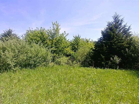 2nd image of 143 Oak Run Dr