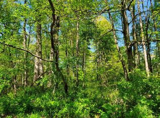 0 Drummer Hl, Front Royal, VA 22630